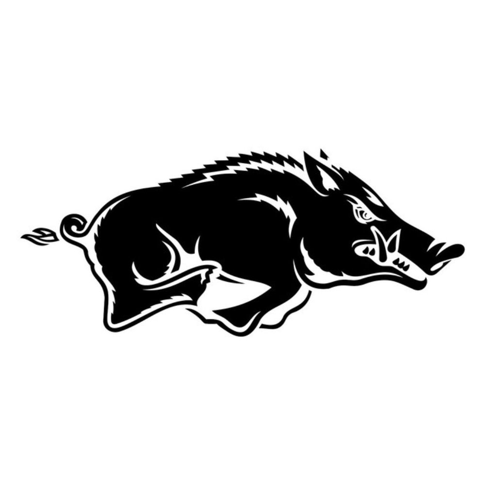 Vinyl Decal for Window - Arkansas Razorback, Set of 2 (9” and 11”)